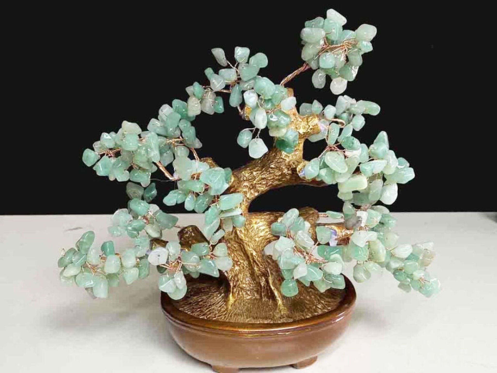 Cây tài lộc hỗ trợ công việc và thu hút tài vận cho gia chủ.