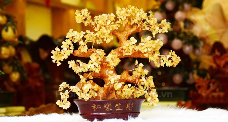 Cây tài lộc phong thủy - Biểu tượng của sự thịnh vượng